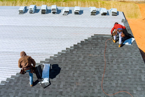 Best Storm Damage Roof Repair  in Stapleton, AL