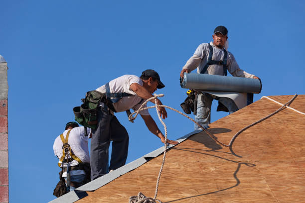 Best Roof Waterproofing Services  in Stapleton, AL